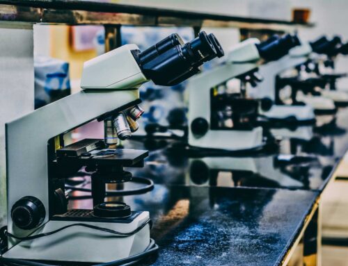 What is the regulatory process in Canada and how are patients’ safety matters handled in clinical trials?